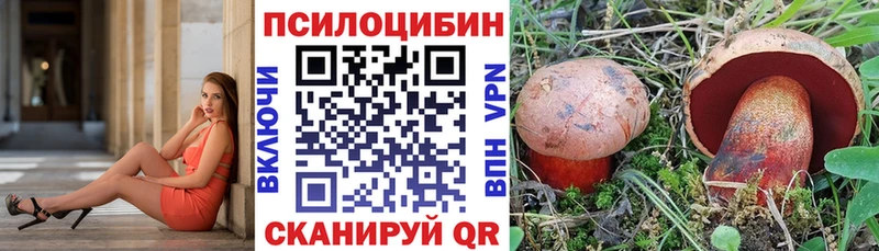 Купить где  Струнино  Галлюциногенные грибы Psilocybine cubensis 